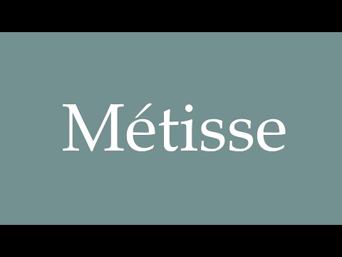 How to Pronounce ''Métisse'' Correctly in French