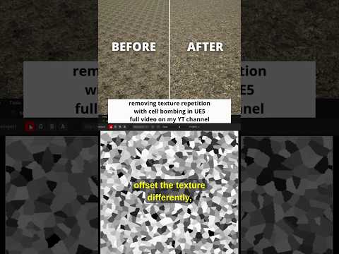 Hoj Dee and Hoj Dee Studio