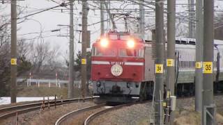 列車番号????　快速EL村上ひな街道号#3　(EF81-97)  羽越本線　60P　19/03/23