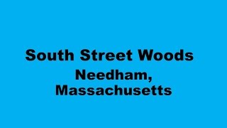 preview picture of video 'South Street Woods Needham, MA'