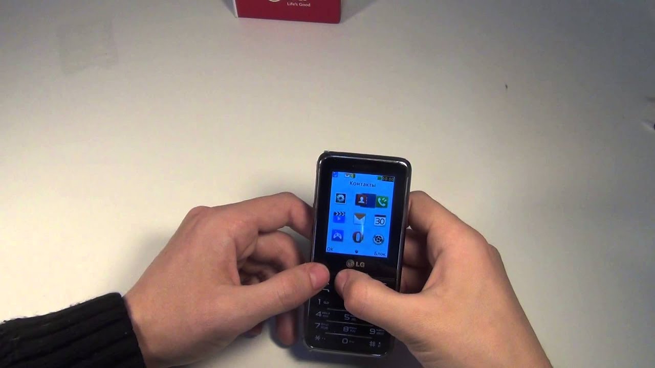 Мобильный телефон LG A399 black