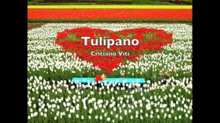 Cristiano Viti - Tulipano