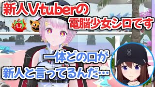 【ホロライブ切り抜き】電脳少女シロさんからのお祝いメッセージ動画にツッコミが止まらないそらちゃんｗ【ときのそら】