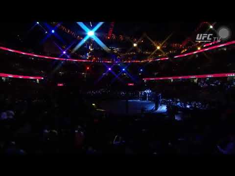 CM Punk Entrance - UFC 203