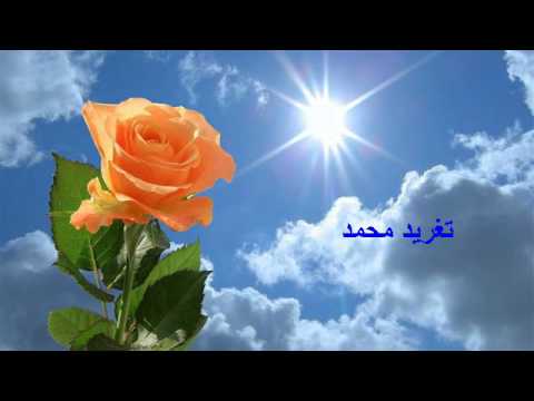 صابحنى دايما مبتسم ابراهيم الكاشف