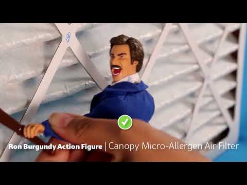 Canopy - Customer Success Story