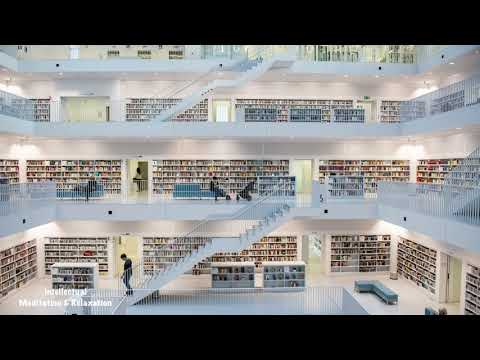 Beautiful Mind | Best Study Music for Concentration and Better Learning