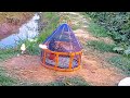 Teetar (Grey Francolin) and Black Francolin Call in Open Fields | Bird Sounds in Nature