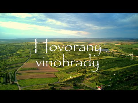 Hovorany - vinohrady