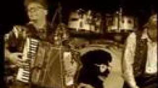 Those Darn Accordions! from the 90's perform 