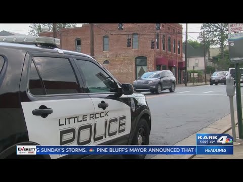 Lrpd Draft Staffing Report
