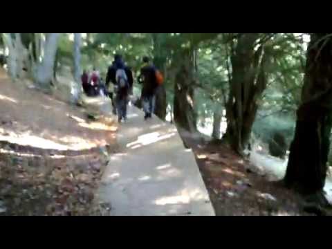 Ruta Tejeda de Tosande - Dehesa de Montejo, Castilla y León