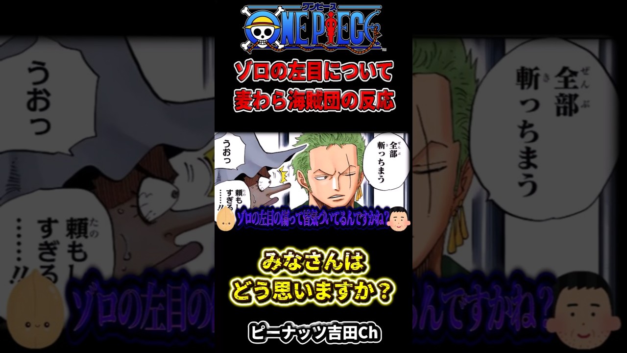 【ワンピース】ゾロの左目について麦わら海賊団の反応 #ワンピース考察 #ゆっくり解説