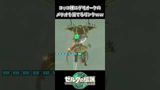 グリオークのメテオをコッコに当てるリンクｗｗ【ゼルダの伝説 ティアーズ オブ ザ キングダム】