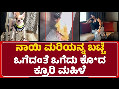 Bagaluru Incident : ನಾಯಿ ಸಾಕೋಕೆ ಇದ್ದ ಮಹಿಳೆಯಿಂದಲ್ಲೇ ನೀಚ ಕೃತ್ಯ !| Dog Goopy |  @newsfirstbengaluru