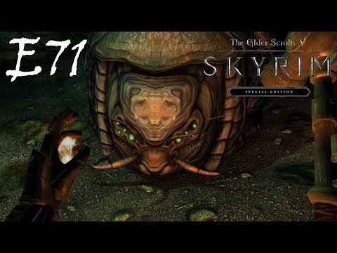 Skyrim // Exploring the Forgotten Vale // E71 - Blind Playthrough