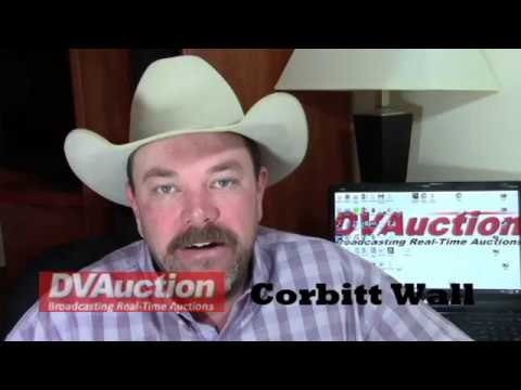 Cattle Market Summary: Very Light Support for Current...