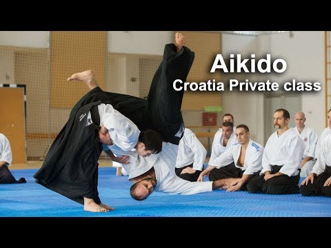 Aikido in Croatia Zagreb Private class with Vedran