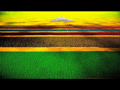 SPARTANS Army Lays Siege to Castle With Ultimate Defense - Ultimate Epic Battle Simulator 2 | UEBS 2