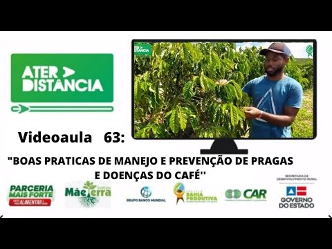 ATER A DISTÂNCIA: Videoaula 63 "  MANEJO DE CONTROLE E PREVENÇÃO DE PRAGAS E DOENÇAS DO CAFÉ