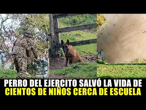 Perro del Ejército Detectó Explosivo Cerca de una Escuela en el Norte de Antioquia