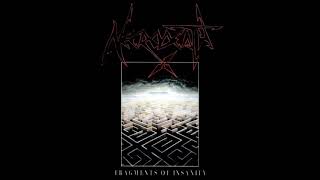 Music video thumbnail preview for NECRODEATH - Defragments Of Insanity 2019 full album by Necrodeath
