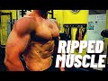 Moving byceps! 大会がなくても絞ります!ripped muscle!