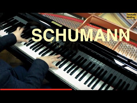 Schumann Papillons op. 2 | Martin Ivanov, piano
