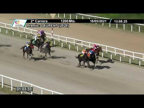 210518 c02 - PIETRELCINA - HIPODROMO LAS PIEDRAS