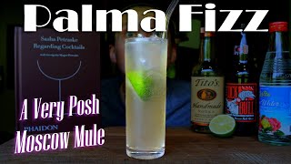 The Palma Fizz || An elevated Moscow Mule from Regarding Cocktails by Sasha Petraske (no copper mug)