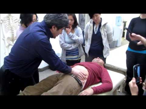 NUMSS (Spain) professor demonstrates Visceral Techniques of Osteopathy