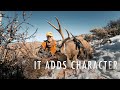Colorado Landowner Tag Mule Deer | THE ADVISORS: It Adds Character