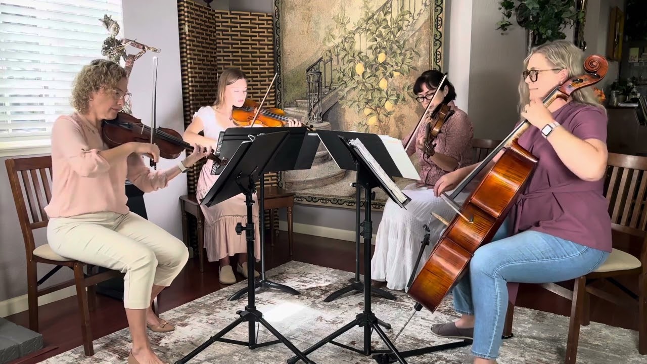 Promotional video thumbnail 4 for Harmony Strings