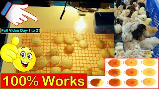 BEST EGG INCUBATOR | AMAZING DIY INCUBATOR RESULT DAY 1 TO 21 | CHICKEN INCUBATOR | YOU CAN DO THIS