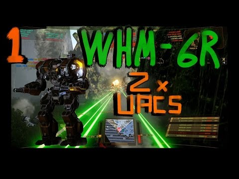 MWO: Warhammer-6R. 2x UAC/5's