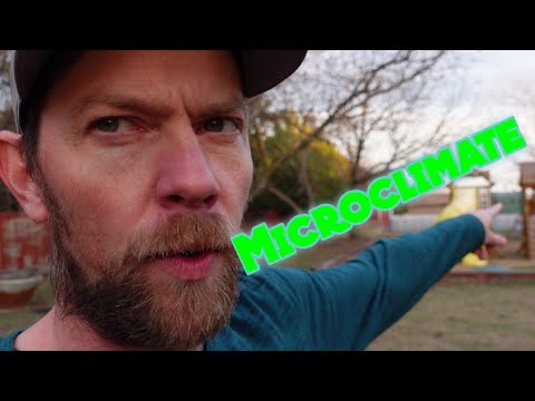 Microclimate