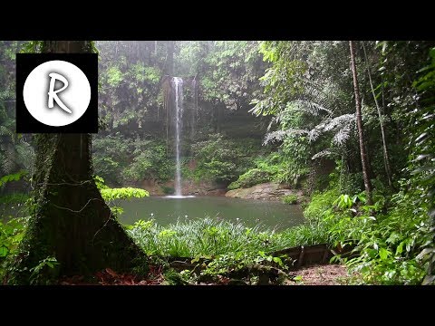 10 Hrs Rainforest & Rain for Relaxing, Nature Sounds for Sleep, Meditation, Insomnia, SPA, Study