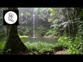 10 Hrs Rainforest Rain For Relaxing Nature Sounds For Sleep Meditation Insomnia SPA Study