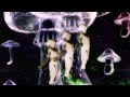 Trill Jimi - Heaven's Gate Elevator (Official Audio)