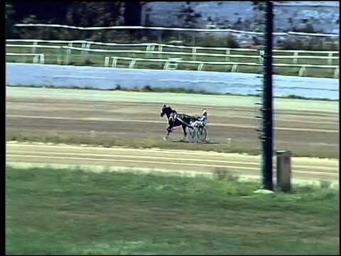 Trotto 04/06/2015 - 1° prova di qualifica