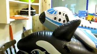 Crystal Beach,Inside Madcap Shop 4028 Erie Road