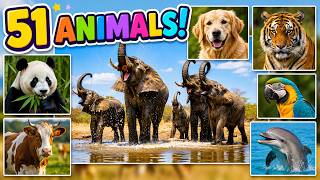 Animal Sounds for Kids: 51 Wild & Farm Animals | Learn Animal Names and Voices