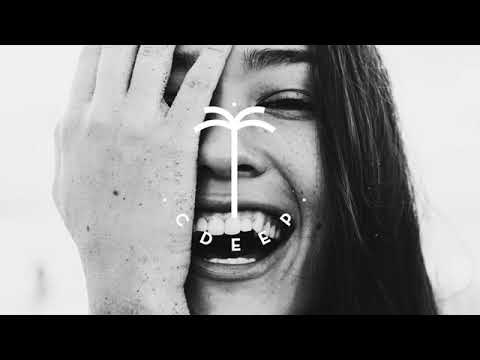 Denis First Reznikov Bright Sparks - Shameless (Audio)