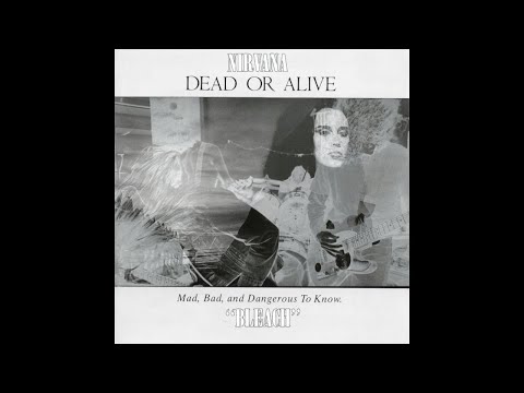 Something Blew in My House | Nirvana vs. Dead Or Alive
