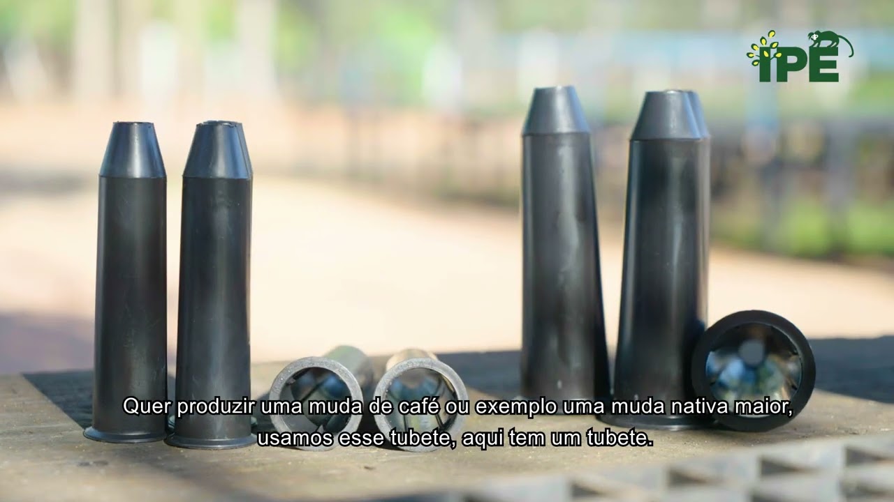 Quais são os insumos necessários para um viveiro?