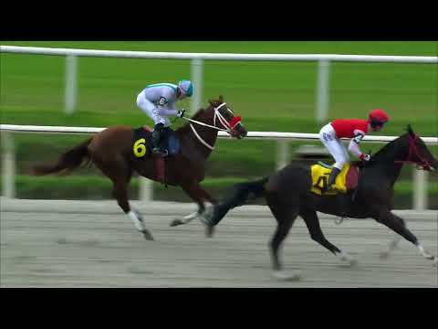 230521 c01 - ATAVIADO PAL - HIPODROMO DE MARONAS