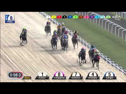 13  06  29  s08  삼복7 7배 적중