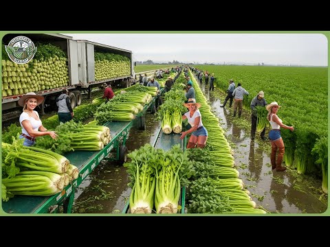 The Most Powerful Agriculture Machines Ever - Farmers Haul Billion Tons In Amazing Harvests