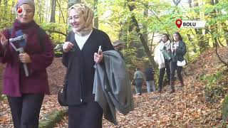 Yedigöller Milli Parkı, Ziyaretçi Akınına Uğradı