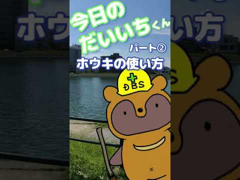 スコッチほうきについて詳しく解説